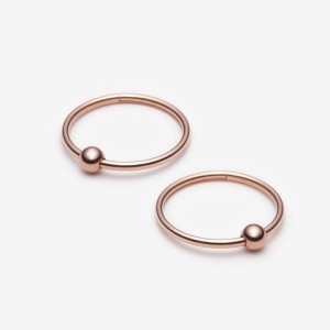 Custom Rose gold plated earring jewelry wholesale